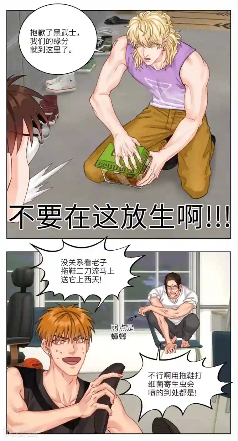 男生宿舍303第13话 宿舍宠物