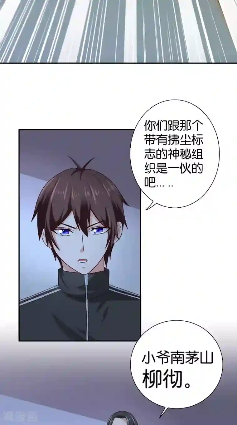 美女大小姐的僵尸高手第87话 南茅山柳彻