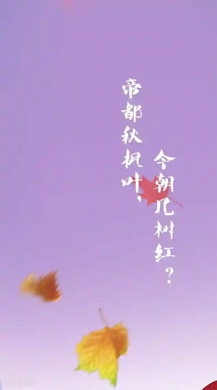 满朝王爷一锅端第106话 昏迷