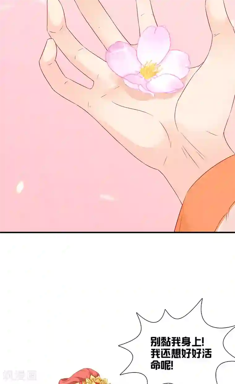 满朝王爷一锅端第115话 桃花