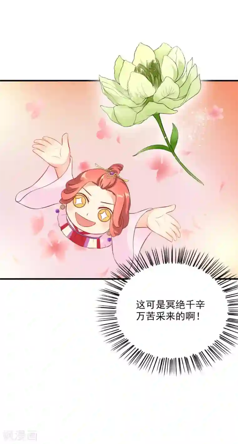 满朝王爷一锅端第120话 天山雪莲