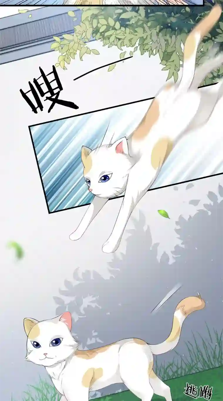 满朝王爷一锅端第139话 捉猫咪的人