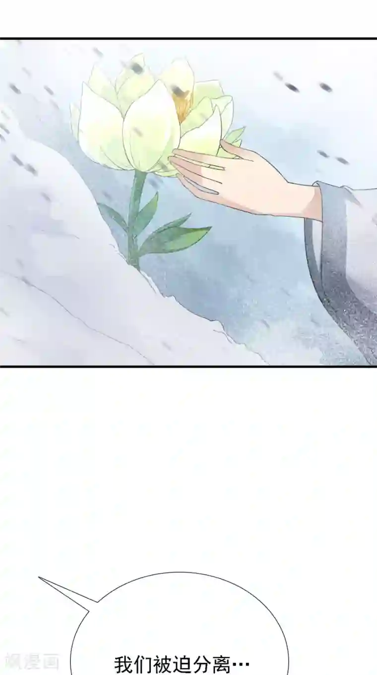 满朝王爷一锅端第161话 他和我没有关系