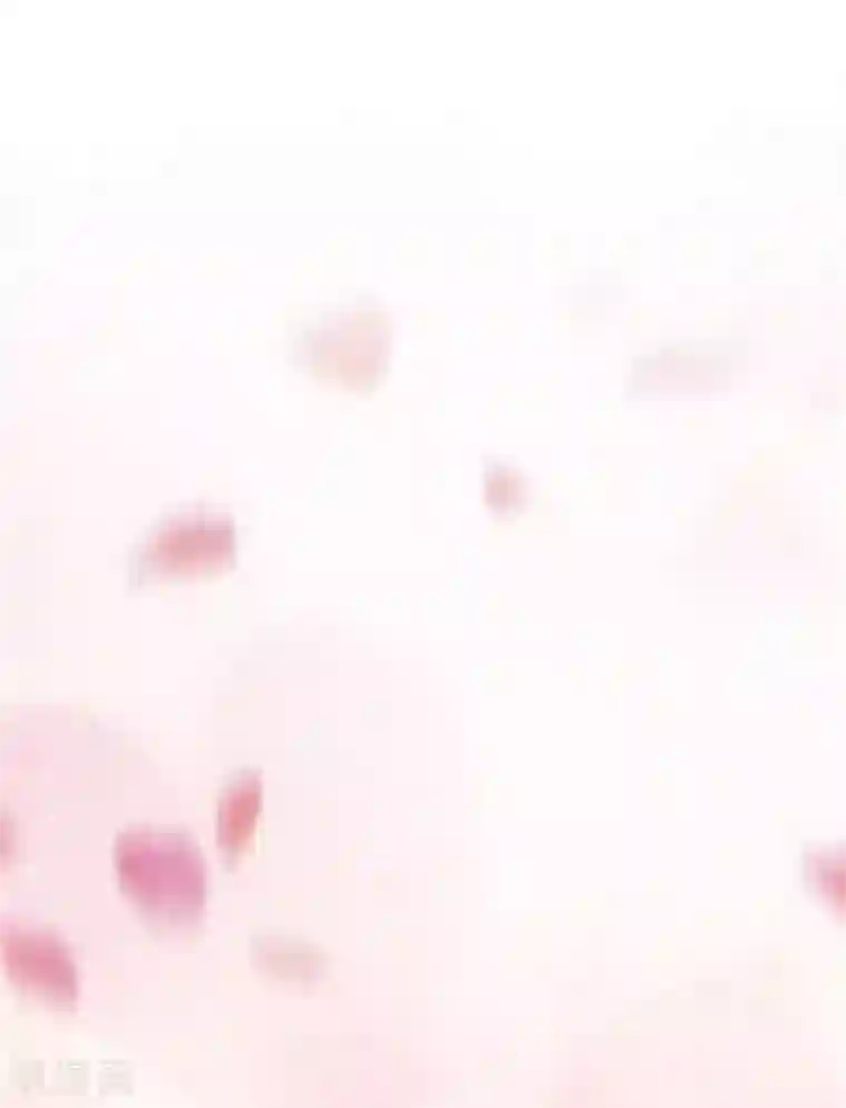 一纸契约第36话 我当然相信你