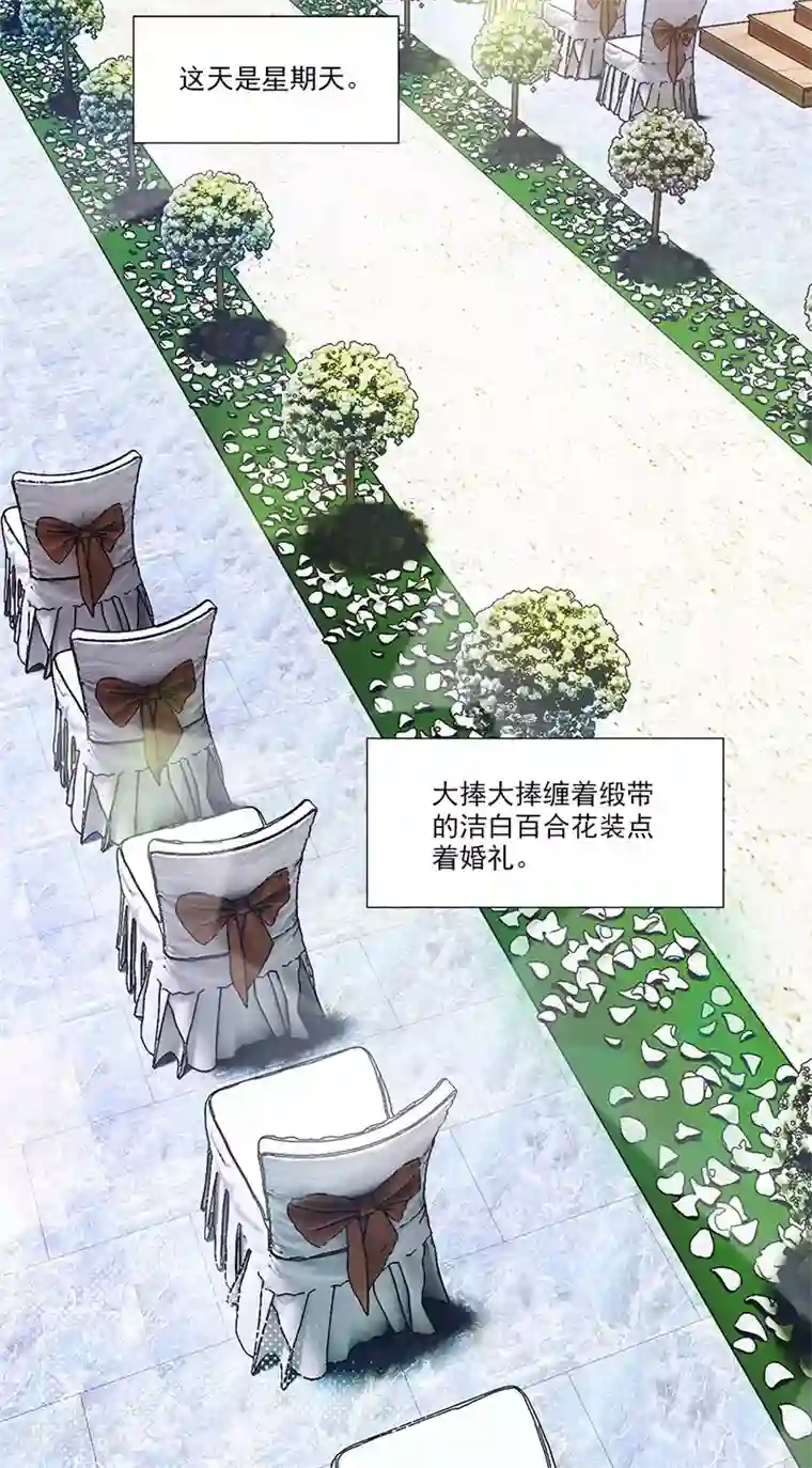 一纸契约最终话 我愿意