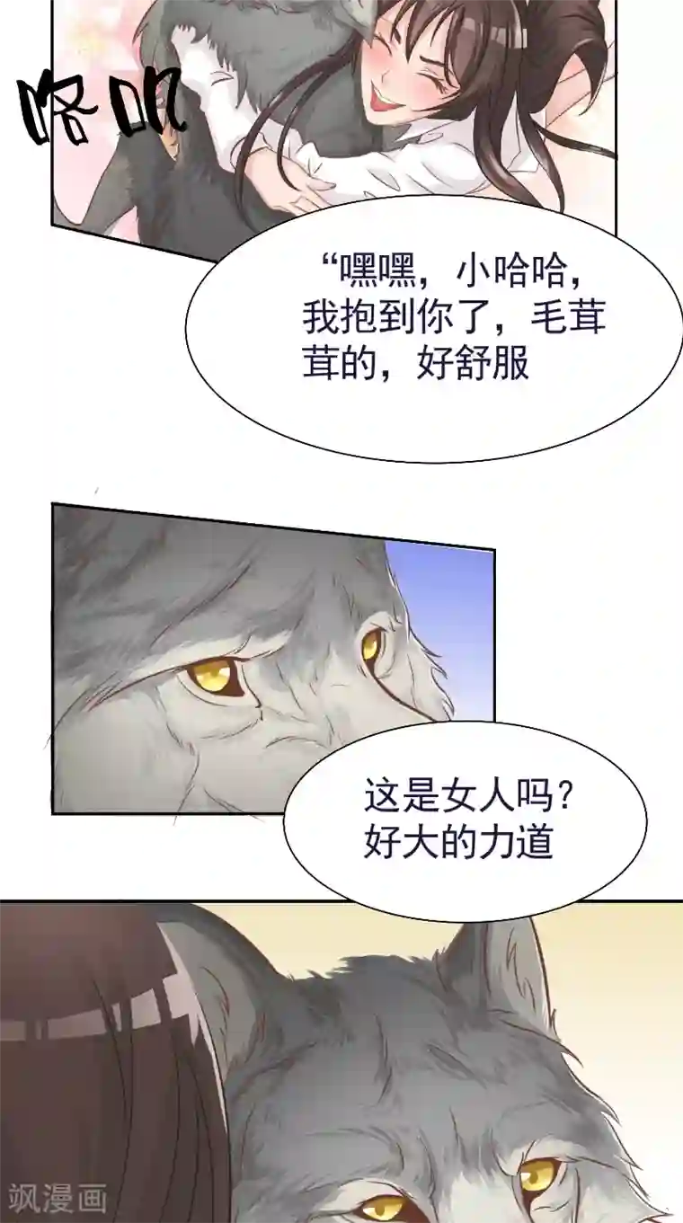 大王请跟我造狼第1话 我家冒出一只哈士奇