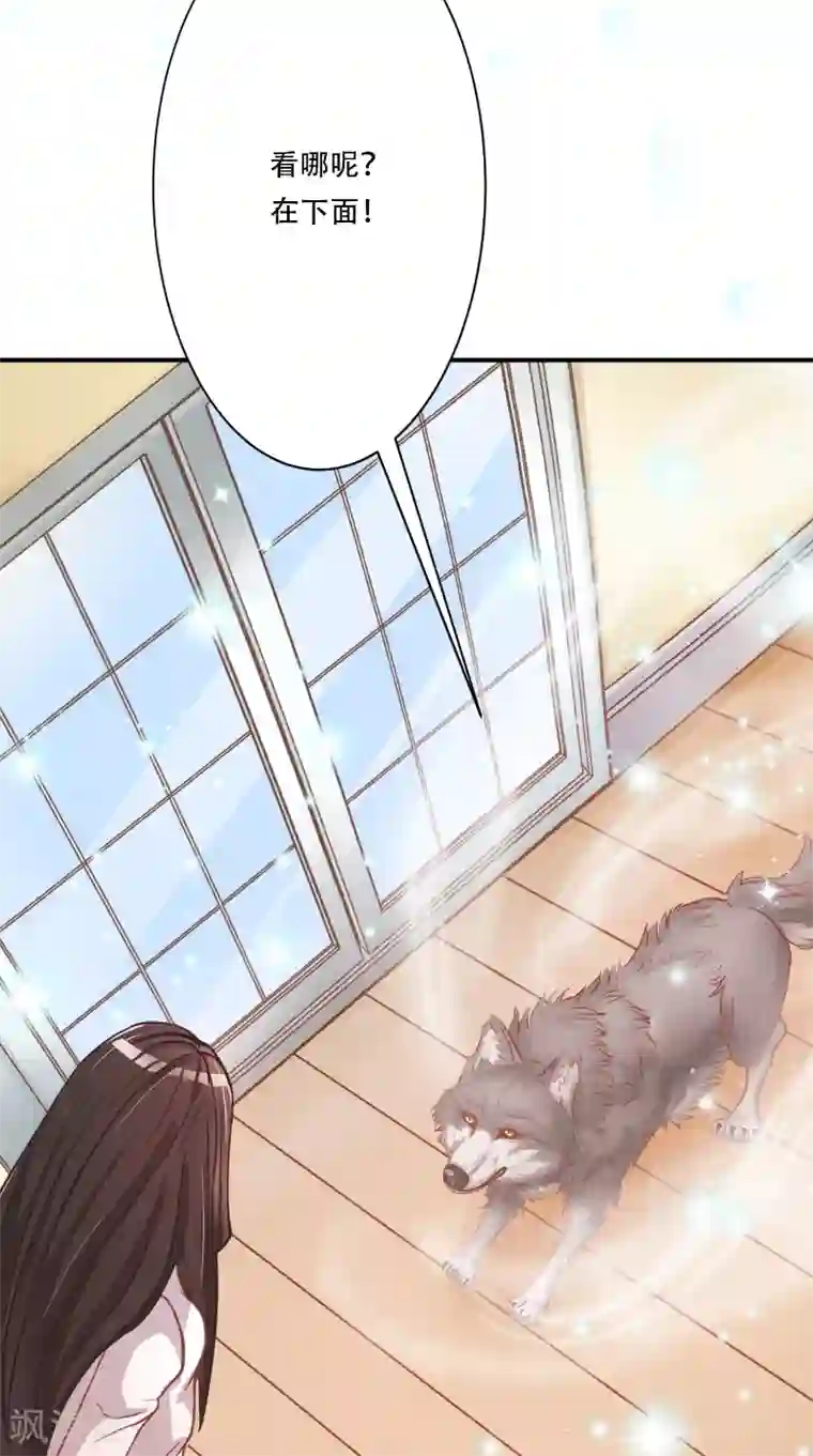 大王请跟我造狼第4话 本王是狼，不是狗