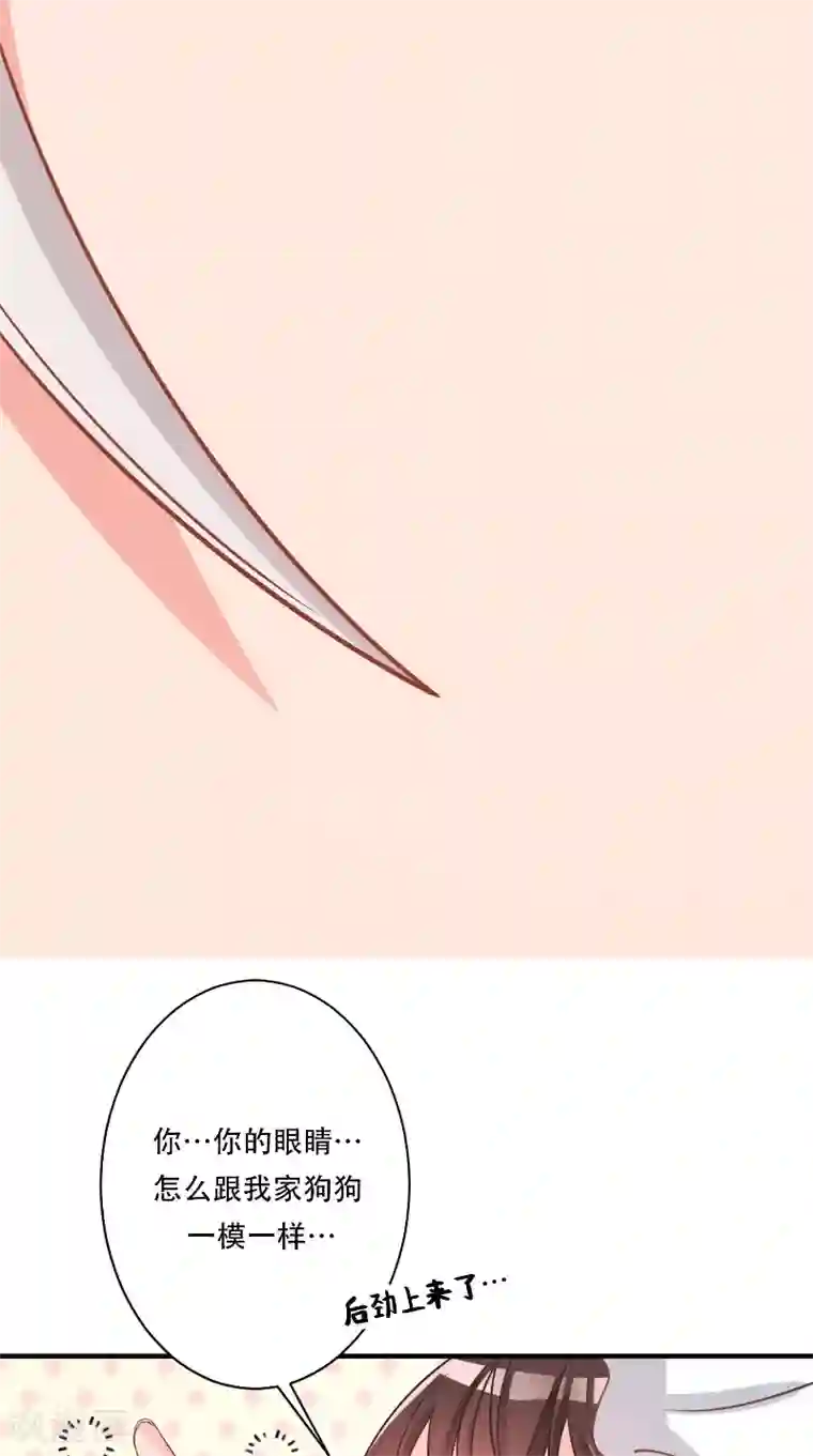 大王请跟我造狼第4话 本王是狼，不是狗