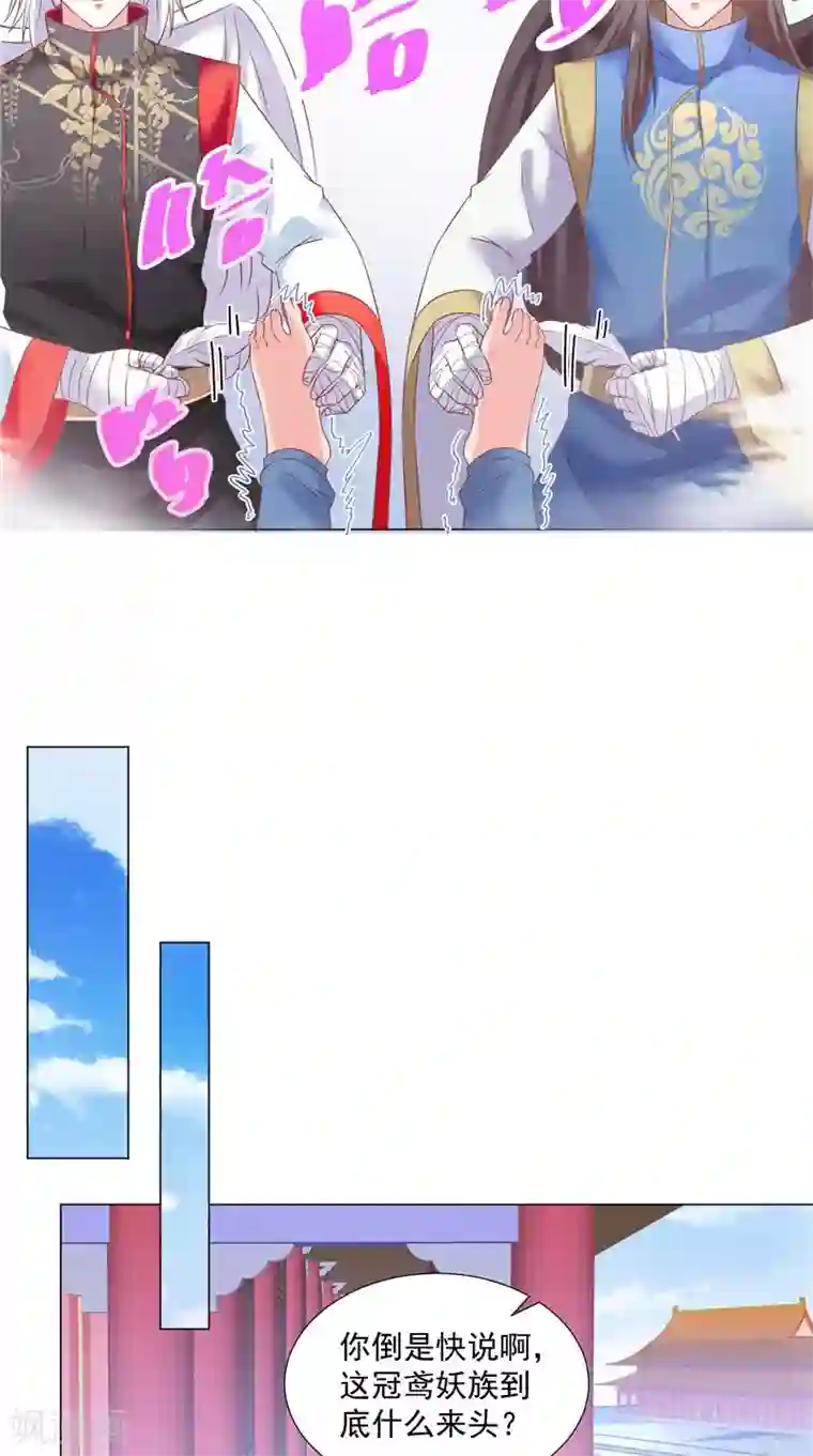 大王请跟我造狼第60话 冠鸢