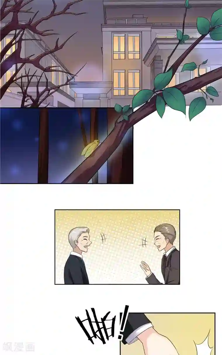 傅少的独宠第3话 深夜缠绵