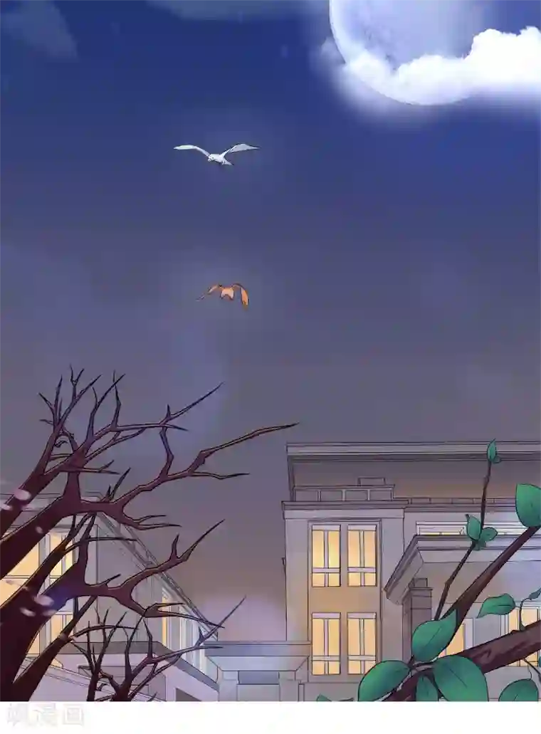 傅少的独宠第28话 怒火