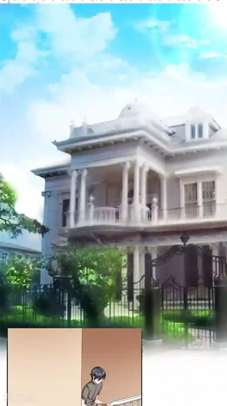 傅少的独宠第44话 信鸽