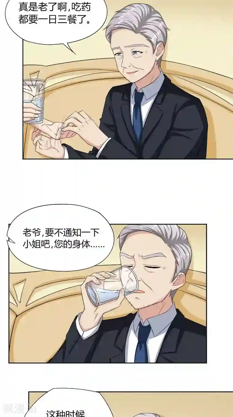 傅少的独宠第44话 信鸽