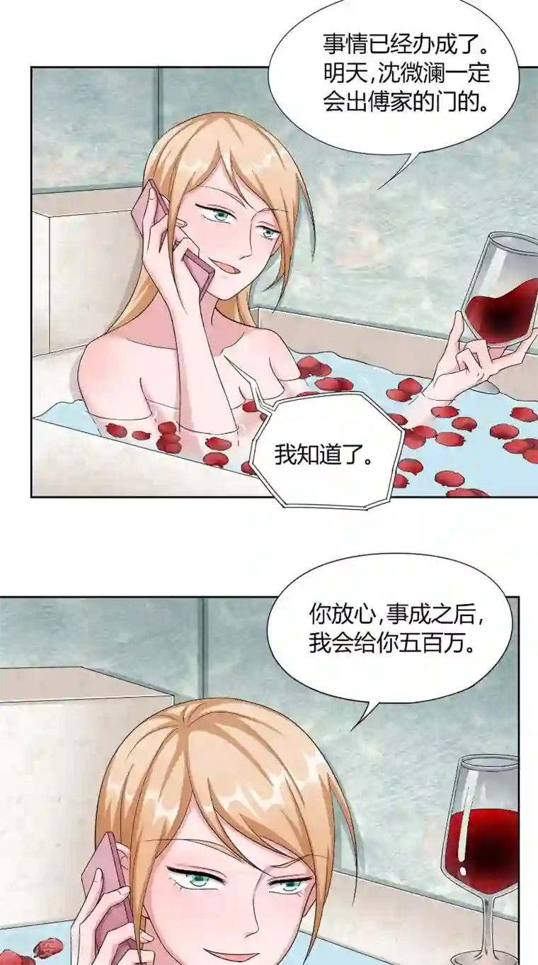 傅少的独宠第44话 信鸽