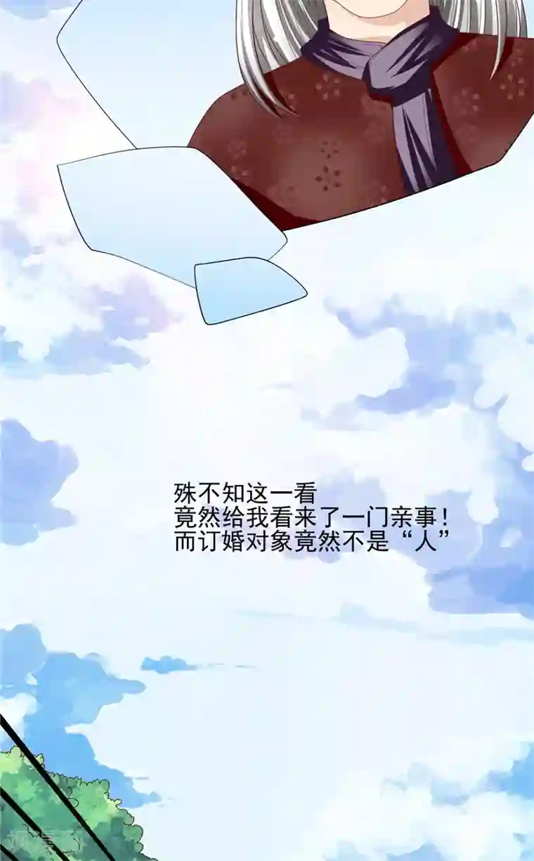 我和狐妖有个约会第8话 定亲