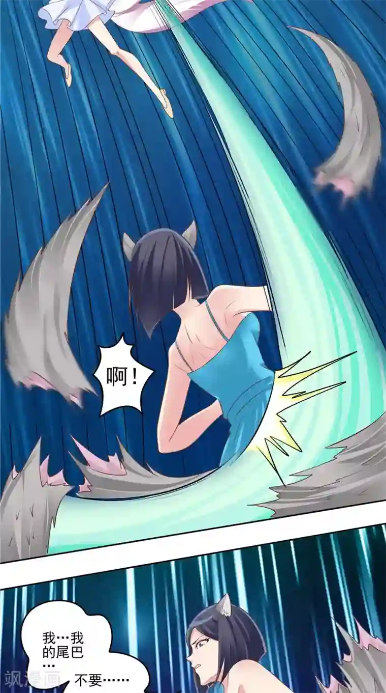 我和狐妖有个约会第56话 四尾狸猫