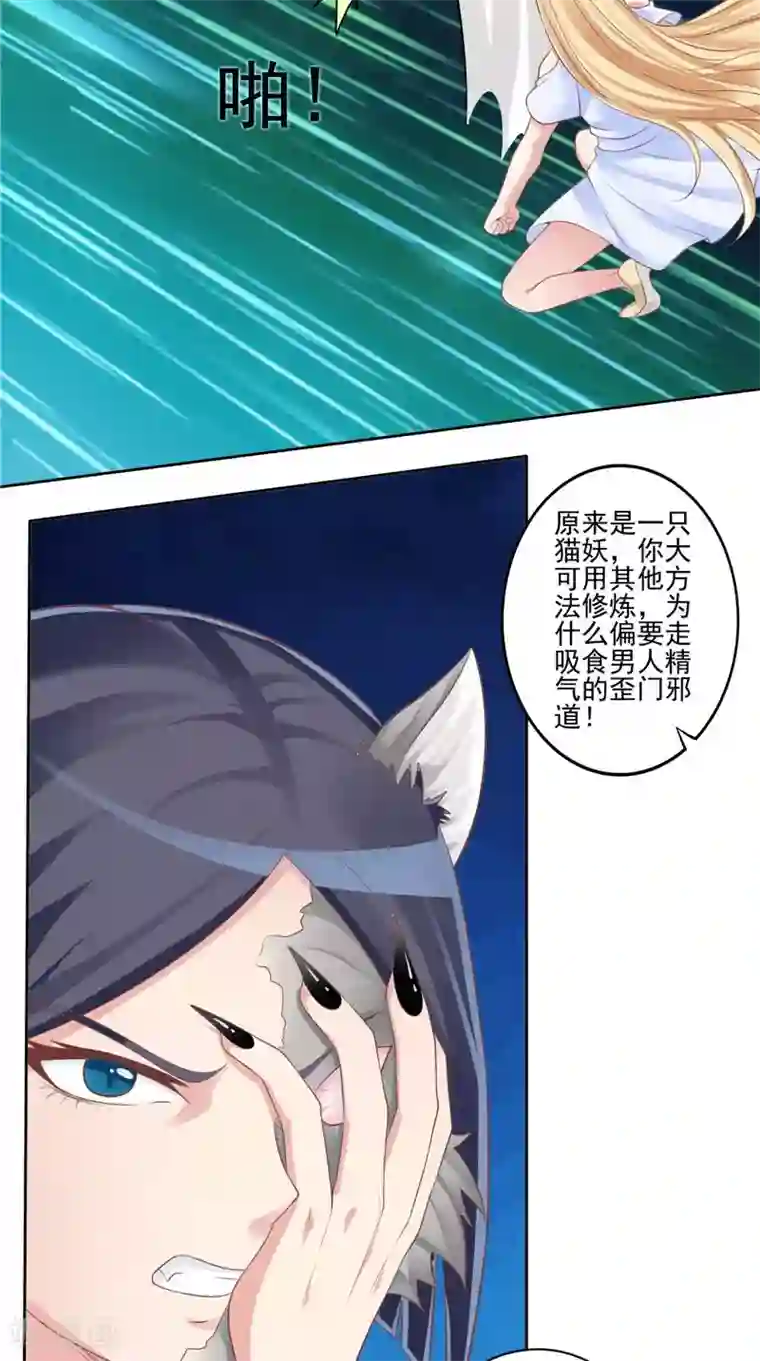 我和狐妖有个约会第56话 四尾狸猫