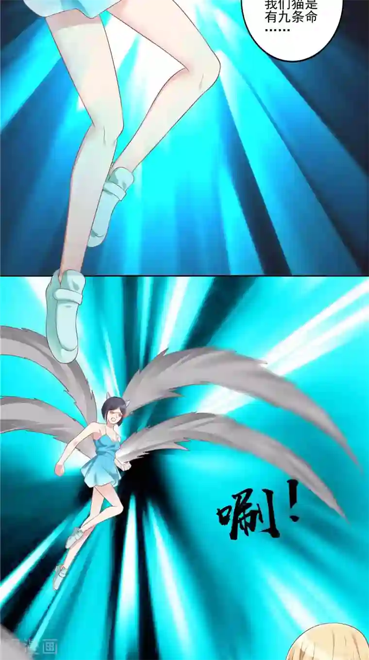 我和狐妖有个约会第56话 四尾狸猫