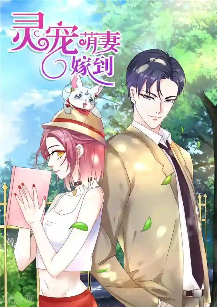 灵宠萌妻嫁到第3话 难得的出名机会