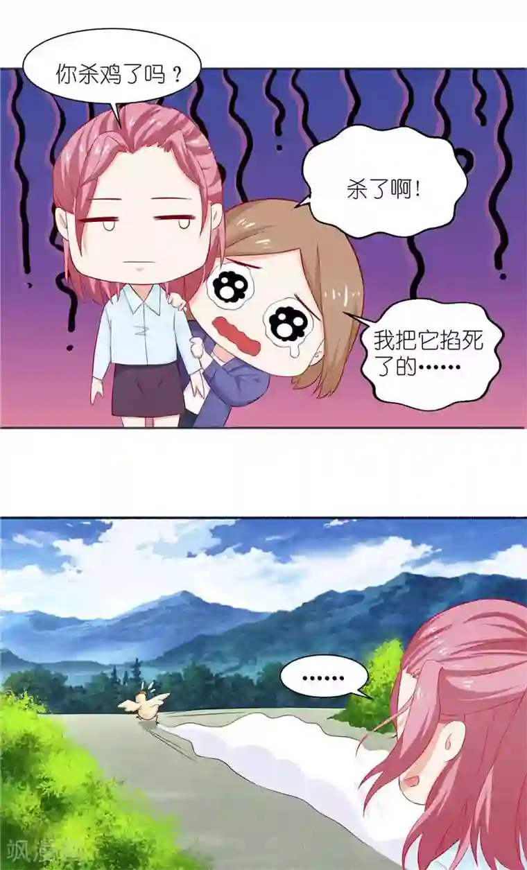 灵宠萌妻嫁到第8话 叫花鸡