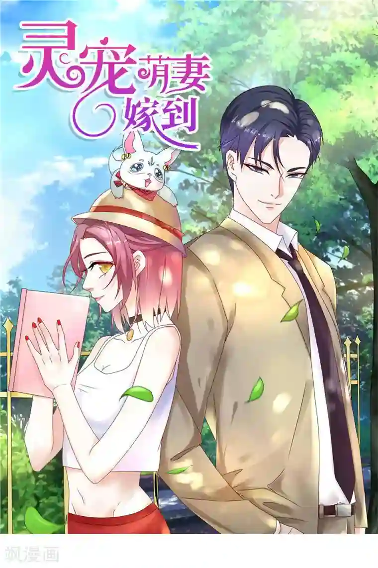 灵宠萌妻嫁到第42话 不要碰不该碰的