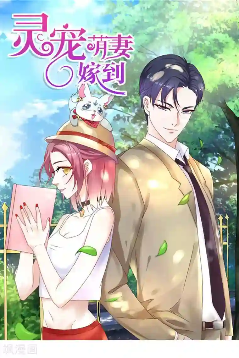 灵宠萌妻嫁到最终话 幸福的结局