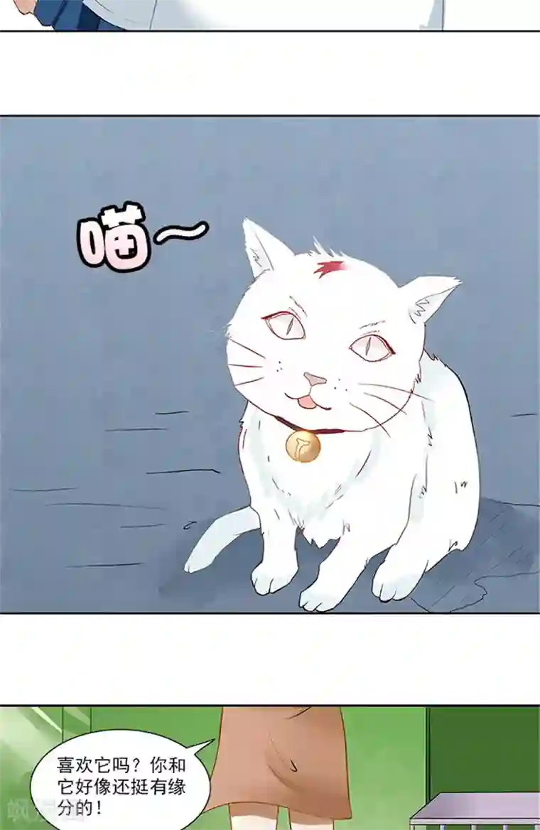 灵狩第24话 小白猫