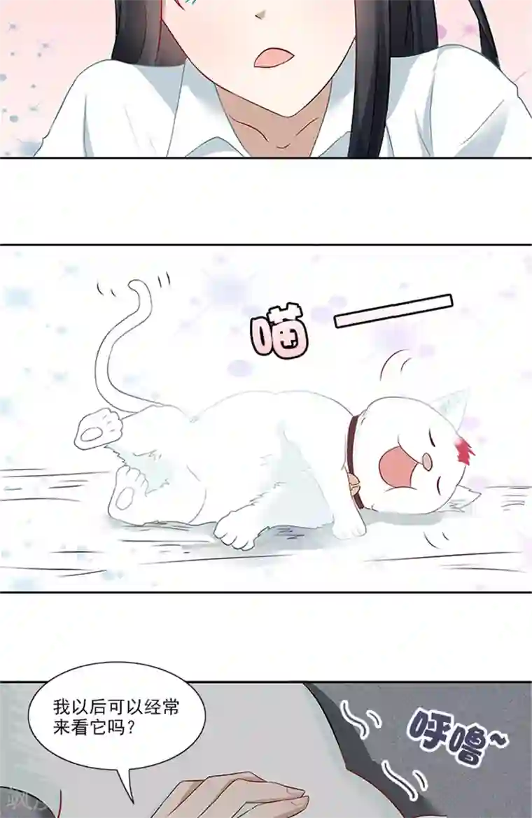 灵狩第24话 小白猫