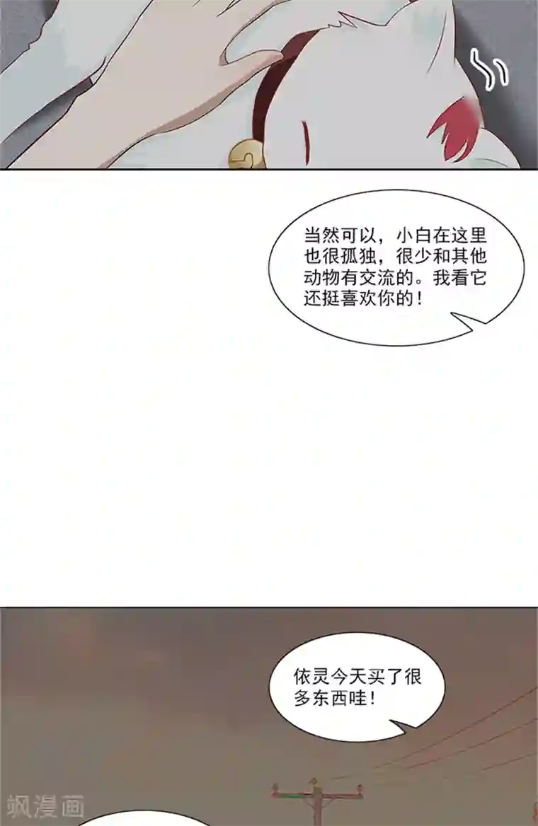灵狩第24话 小白猫
