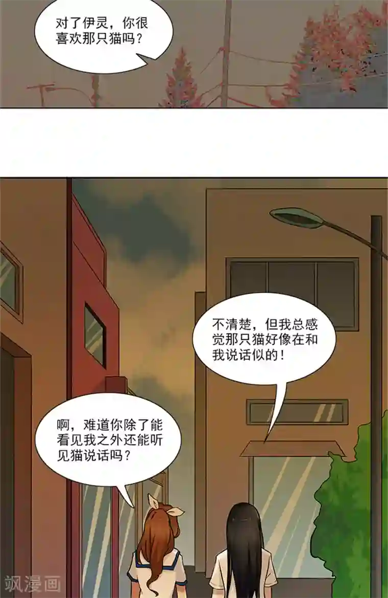 灵狩第24话 小白猫