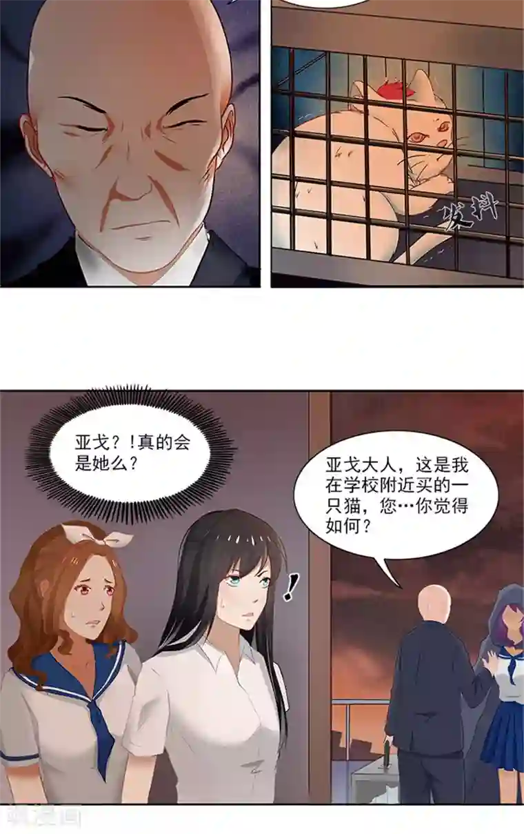 灵狩第27话 暗中观察