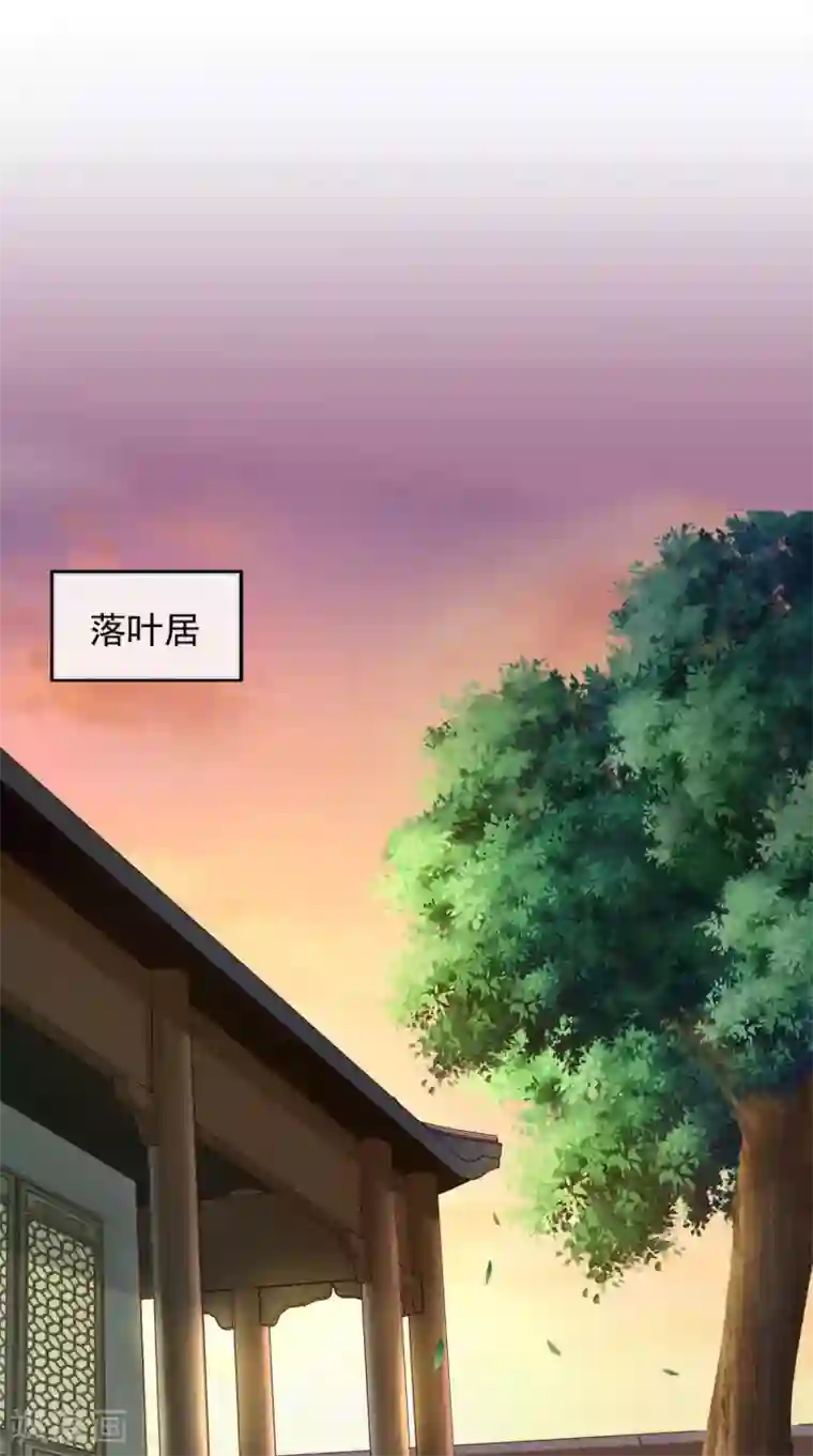 痴傻毒妃不好惹第16话 身世之谜