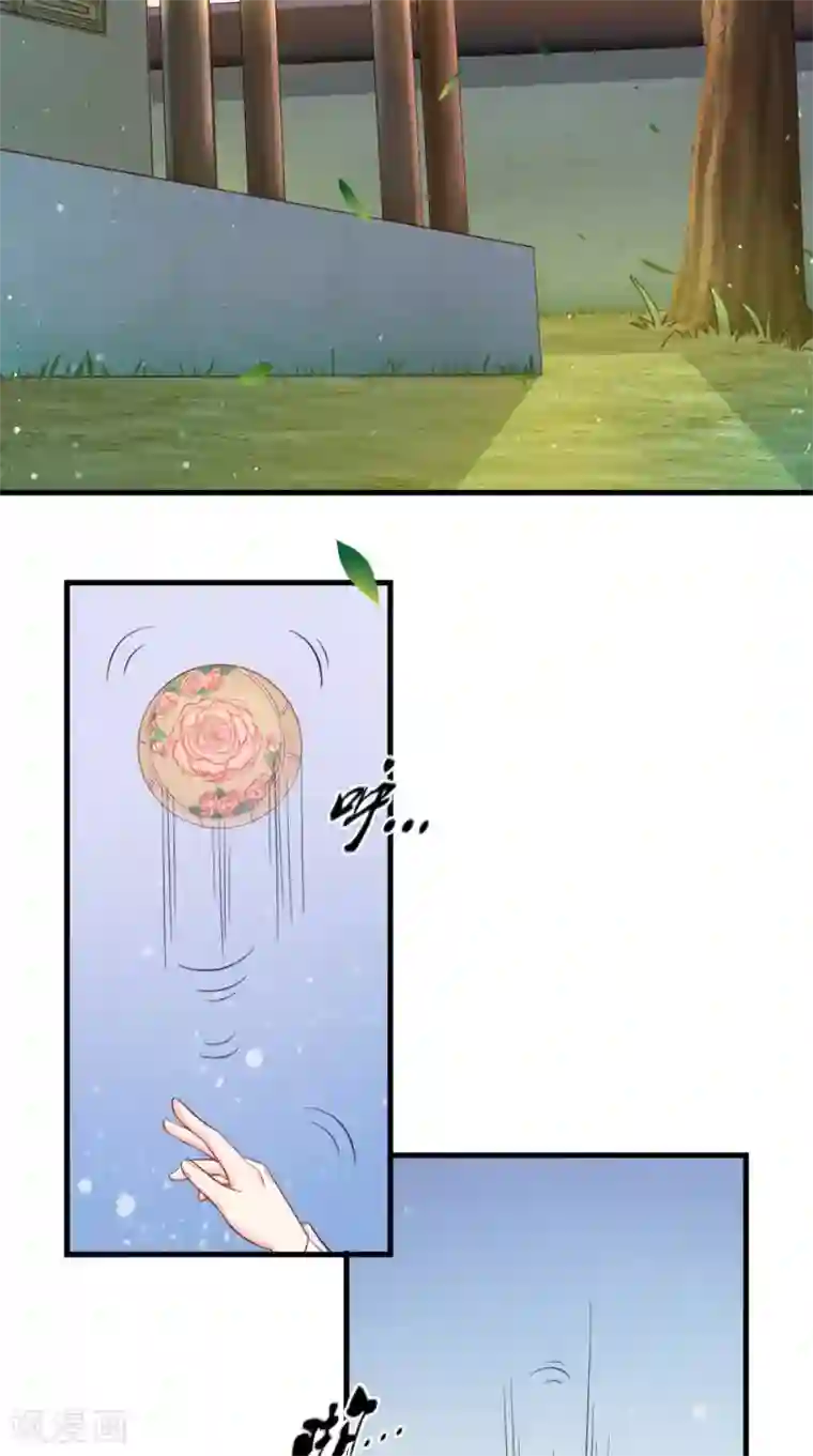 痴傻毒妃不好惹第16话 身世之谜