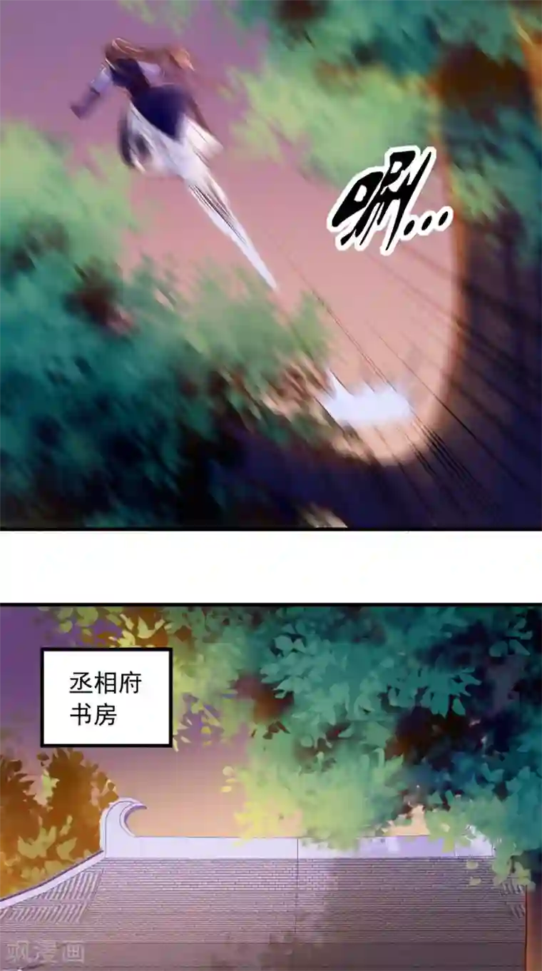 痴傻毒妃不好惹第16话 身世之谜