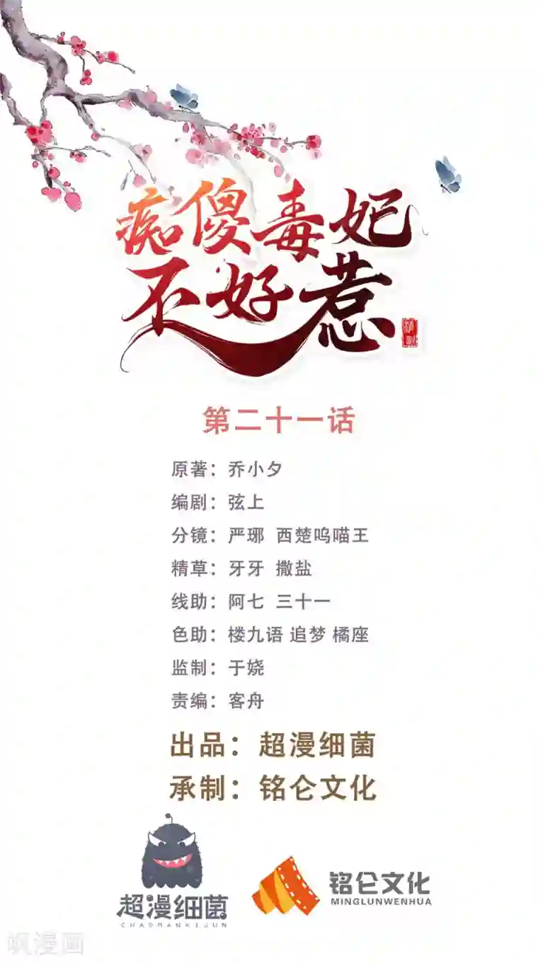 痴傻毒妃不好惹第21话 郡主之名