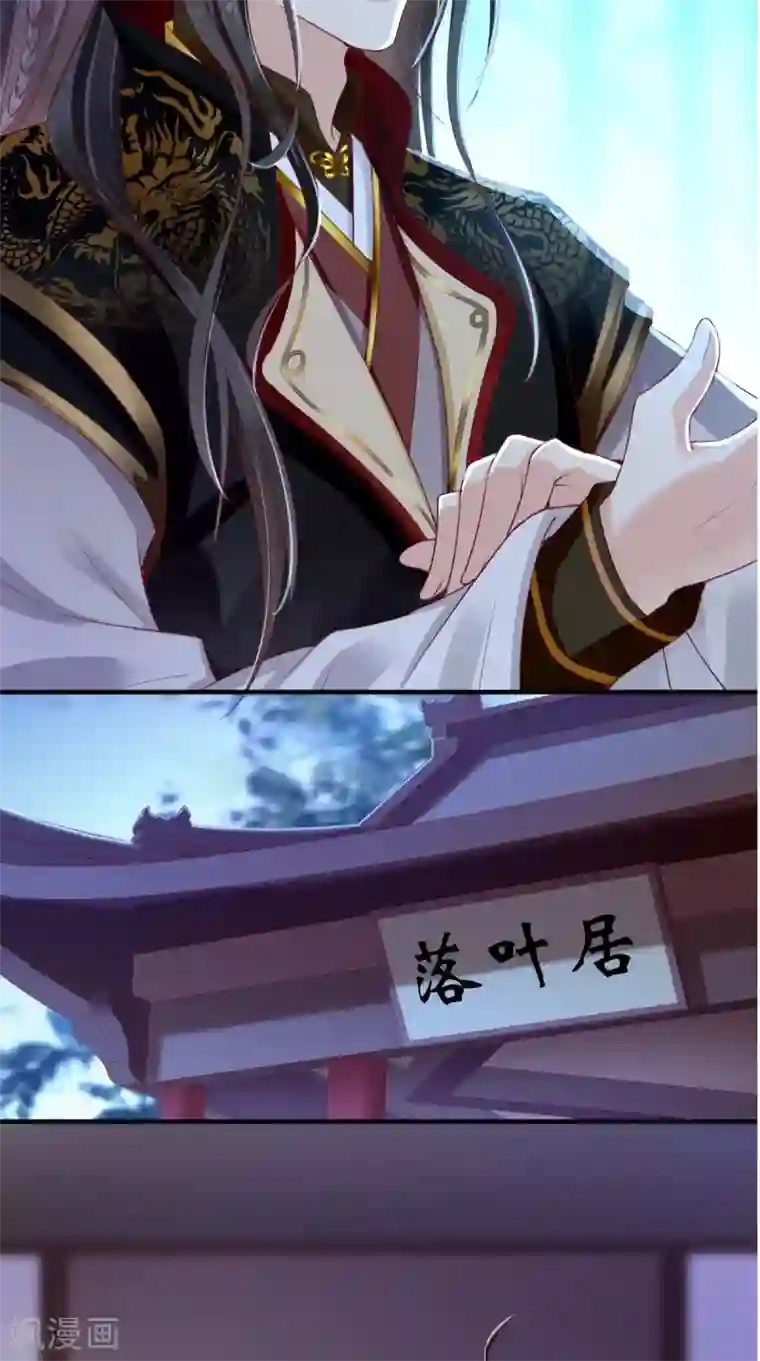 痴傻毒妃不好惹第43话 生母是公主？