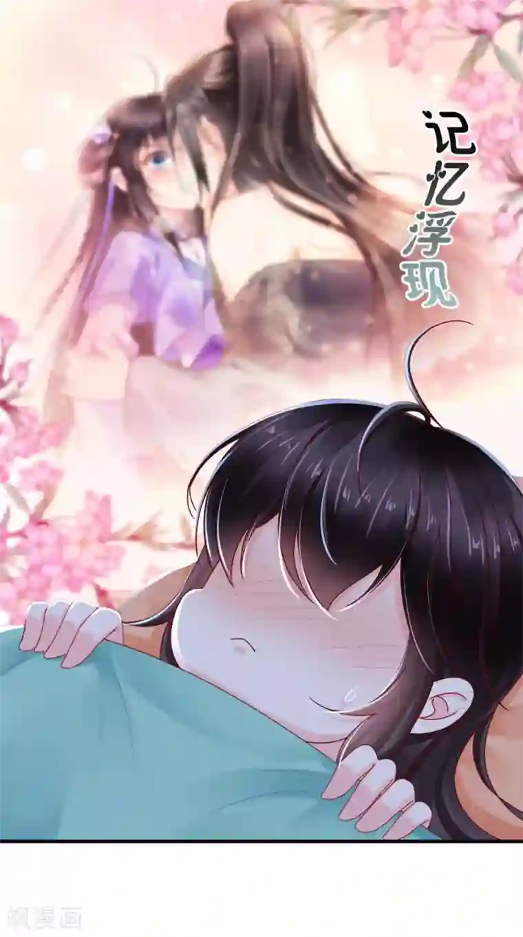痴傻毒妃不好惹第43话 生母是公主？