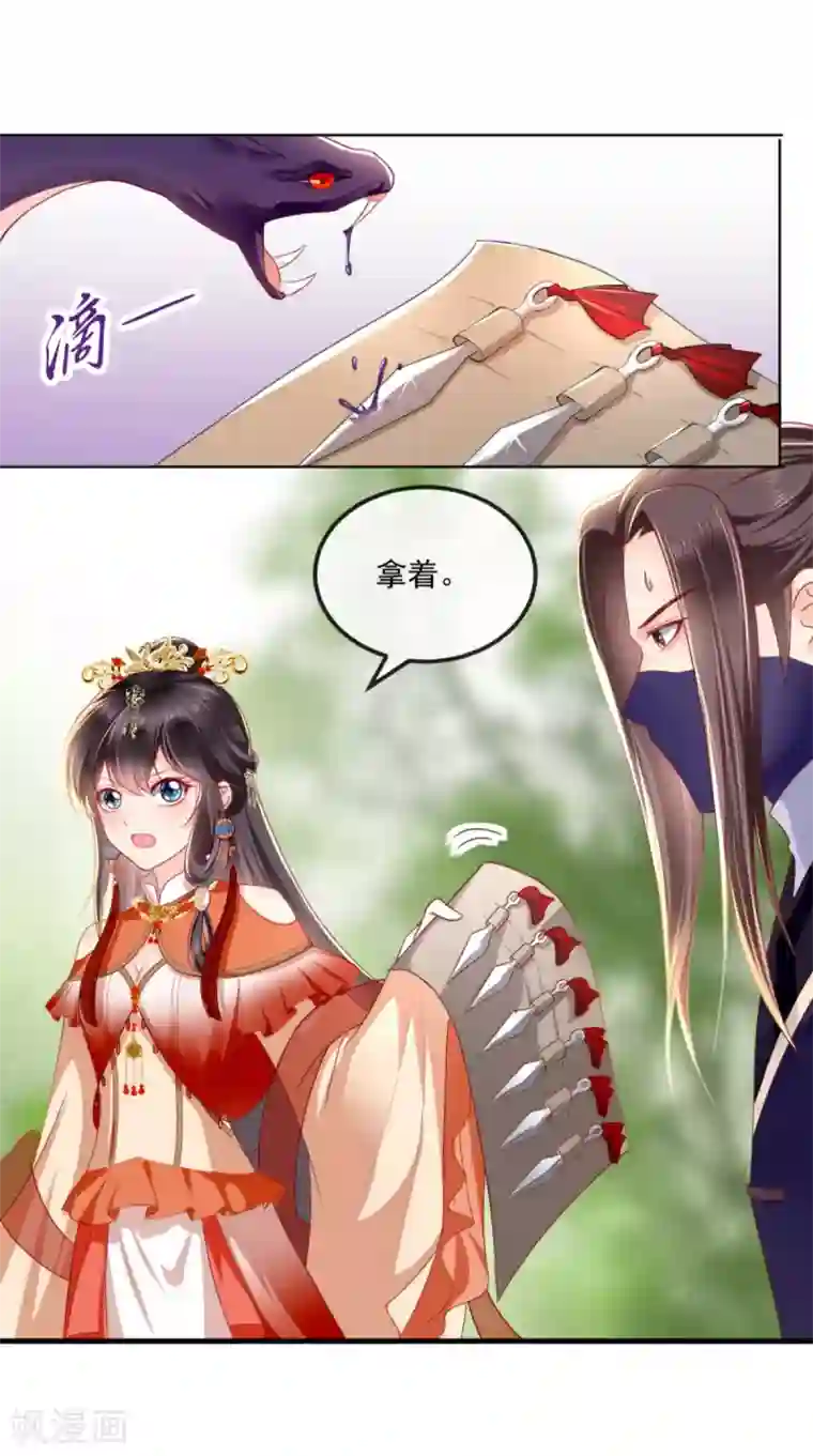 痴傻毒妃不好惹第46话 我要复仇