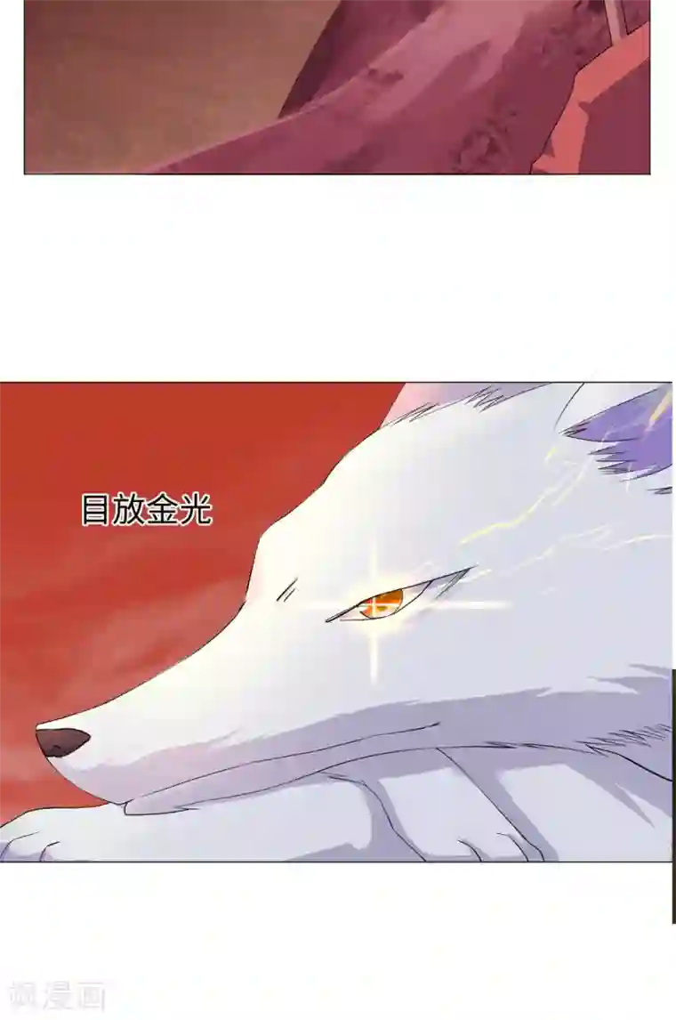 极武玄帝第68话 修炼成功