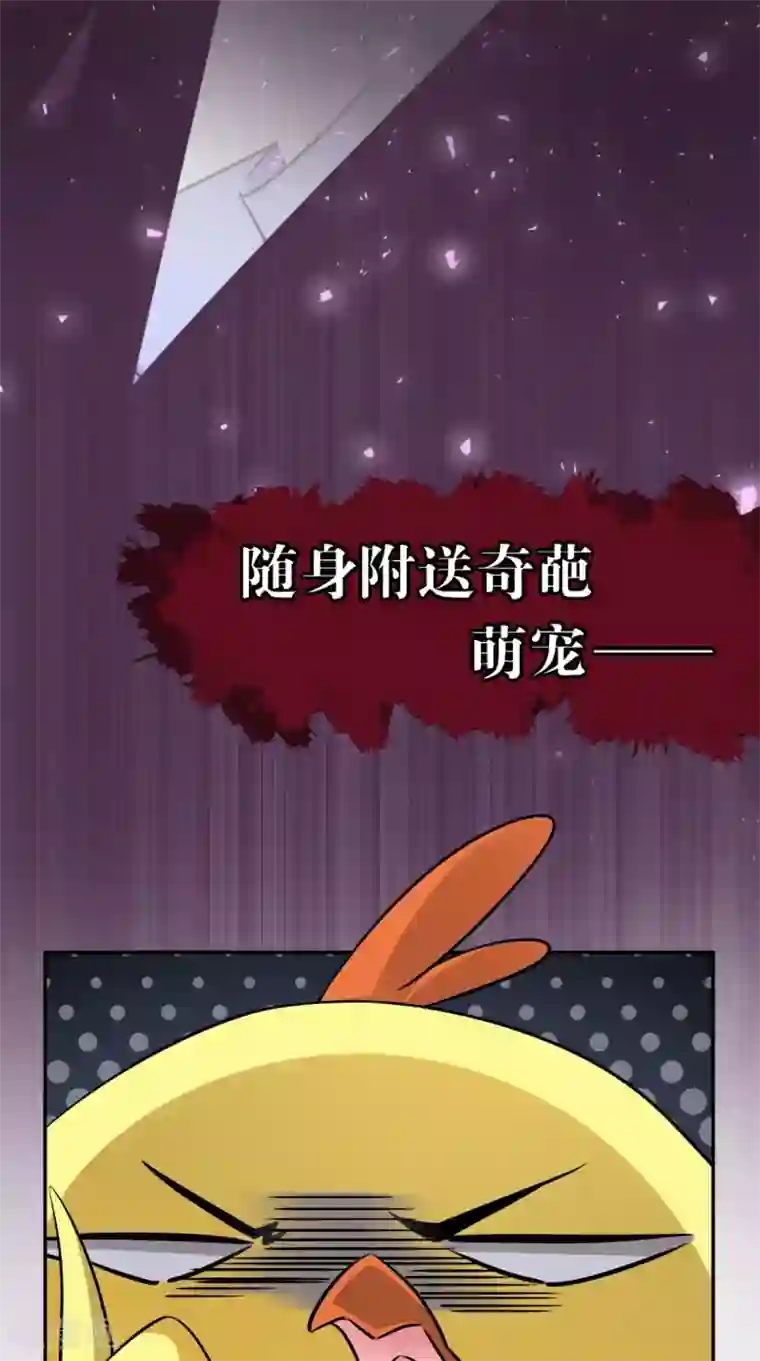 这个王妃有点皮预告