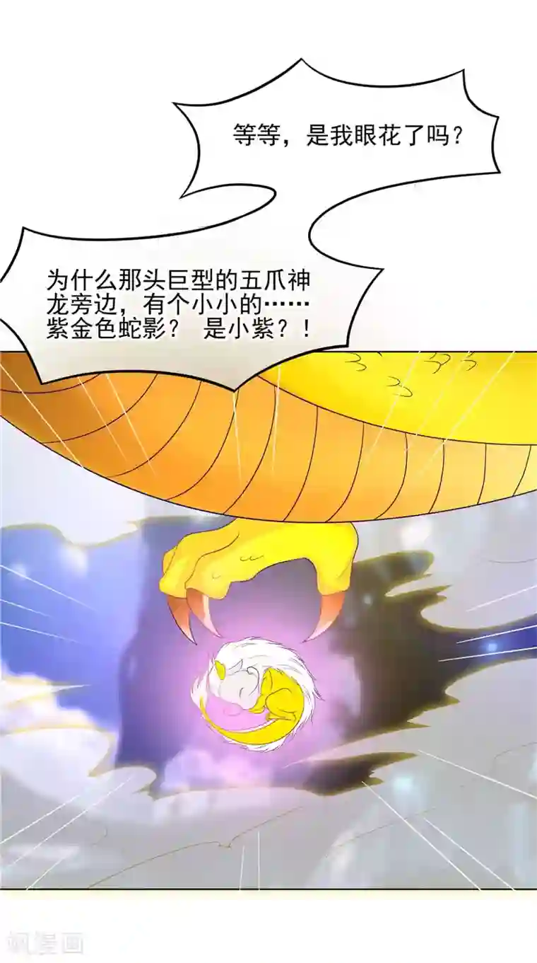 逆天毒医：龙尊求放过第29话 龙渊阁