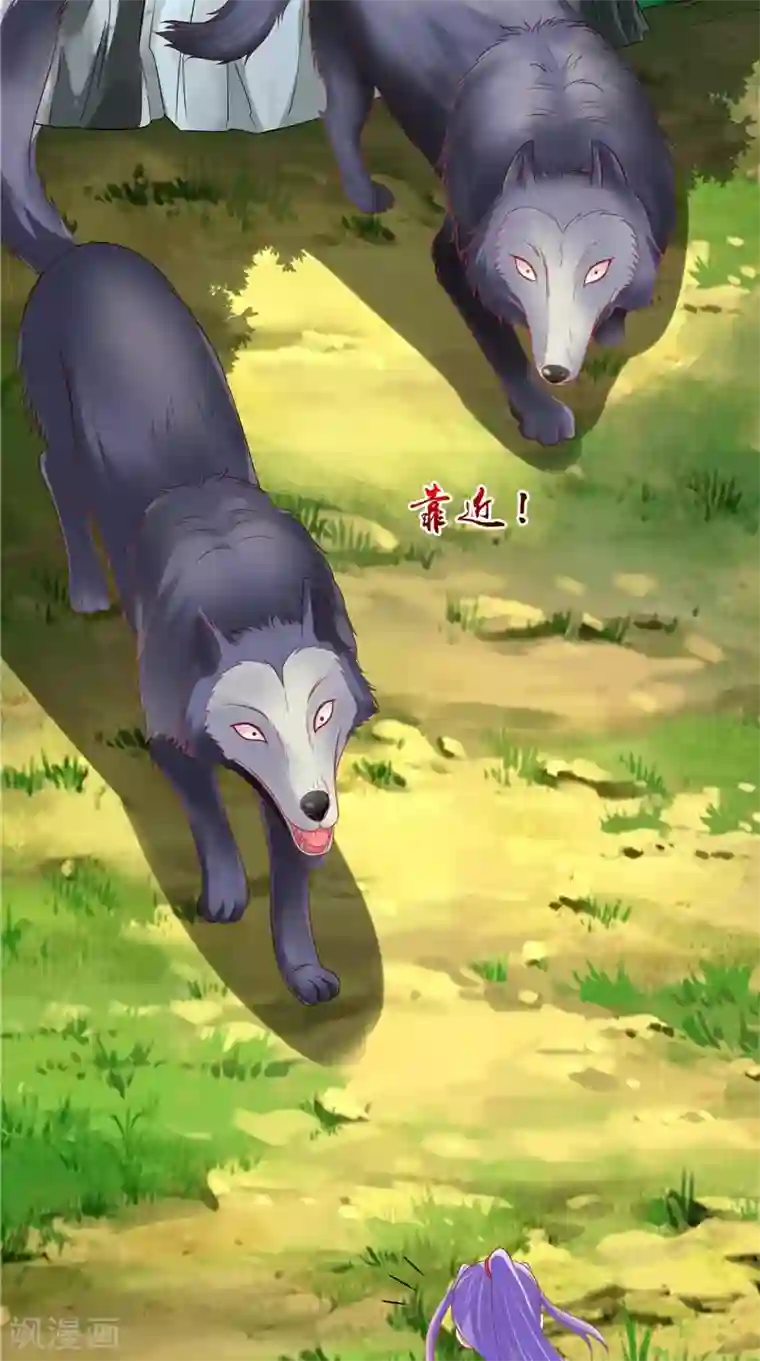 逆天毒医：龙尊求放过第47话 魔兽晶核