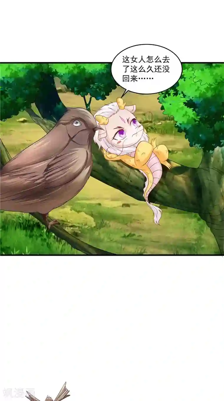 逆天毒医：龙尊求放过第50话 暗杀我的代价