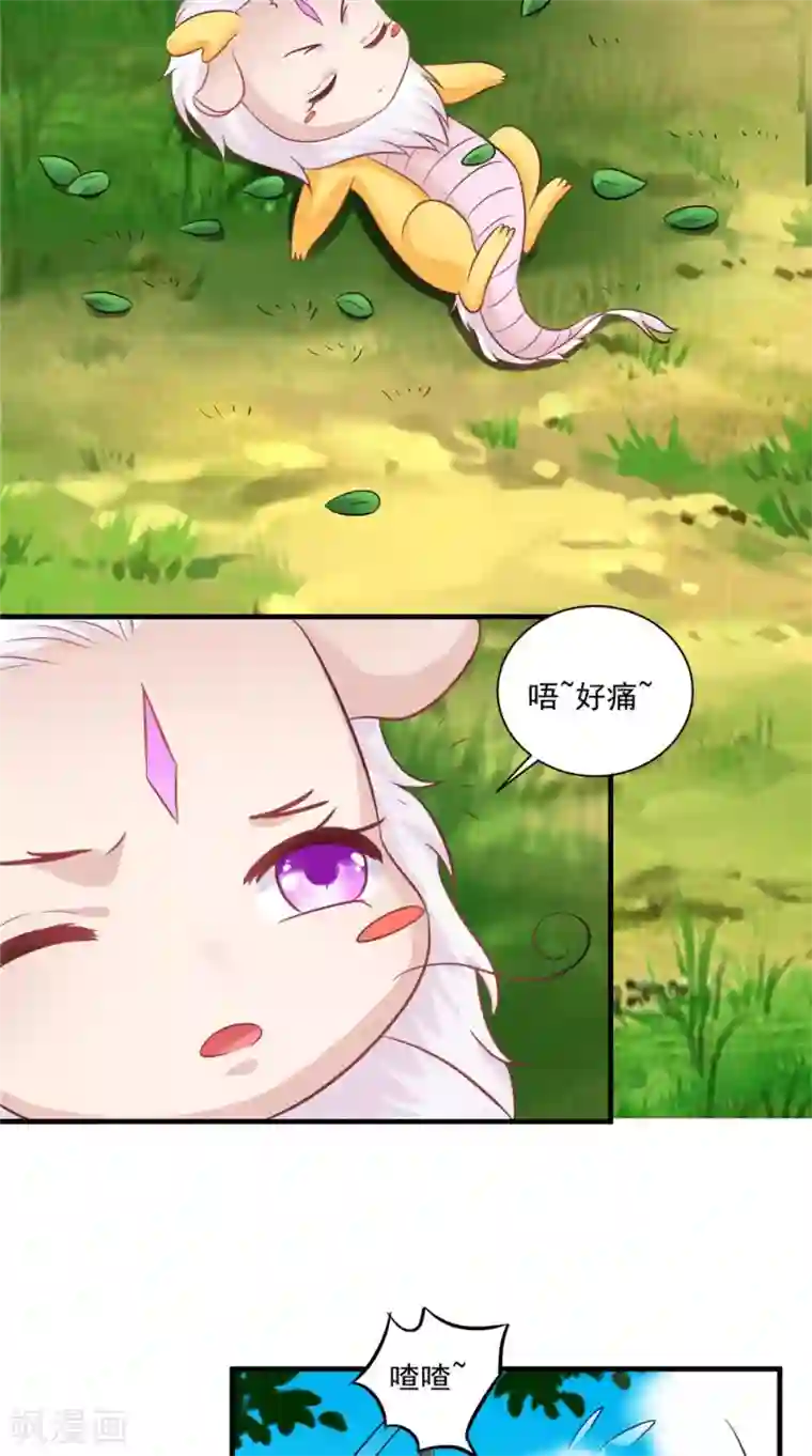 逆天毒医：龙尊求放过第58话 多管闲事