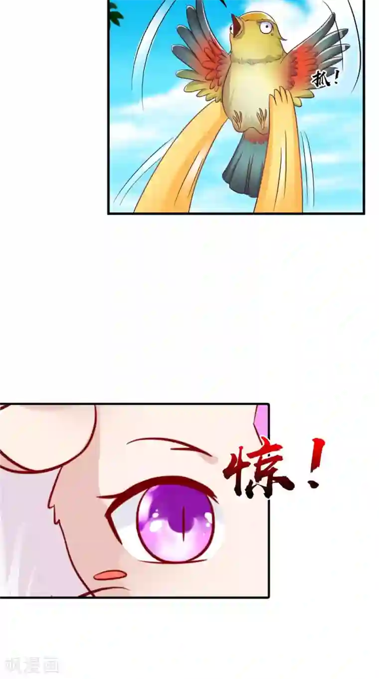 逆天毒医：龙尊求放过第58话 多管闲事