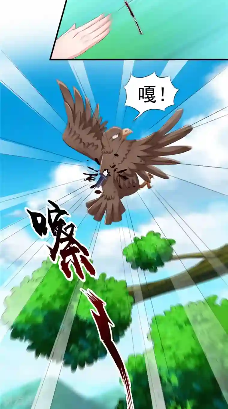 逆天毒医：龙尊求放过第60话 追杀不休