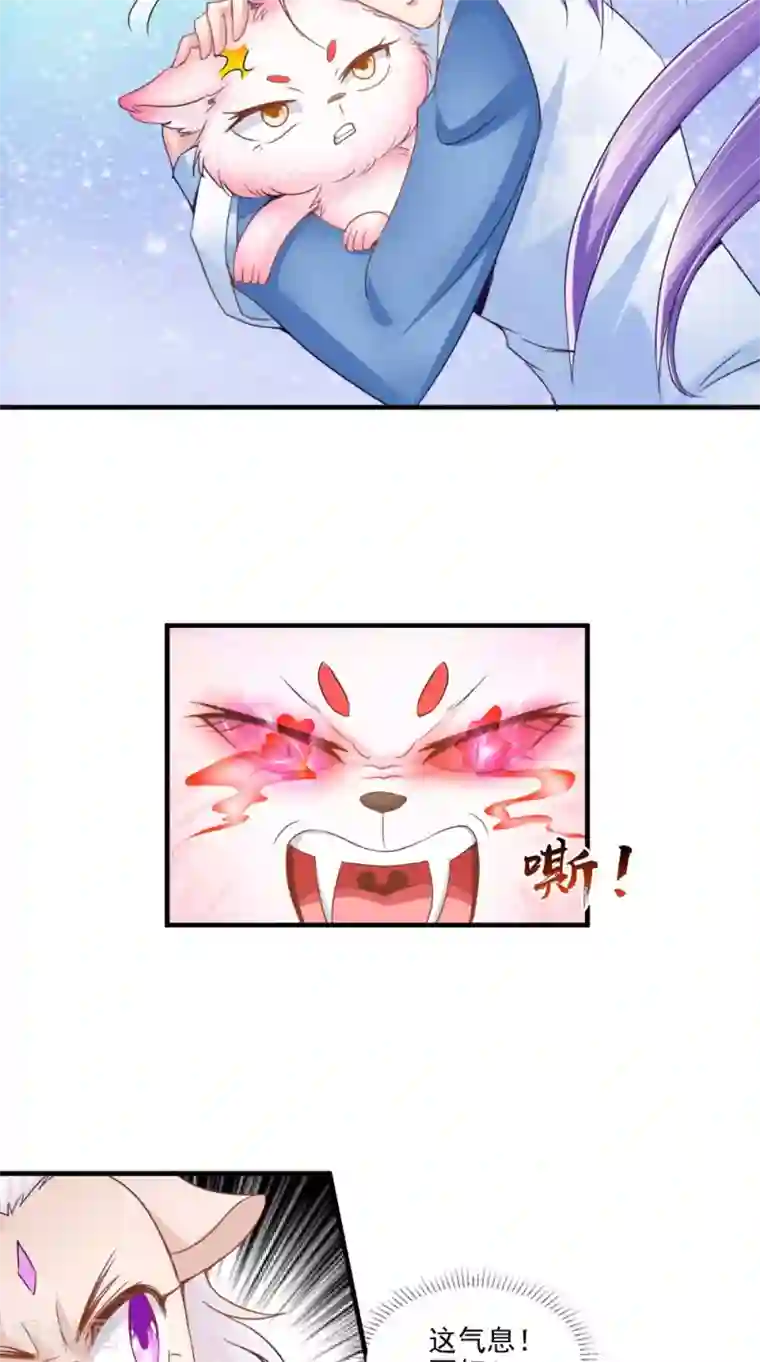 逆天毒医：龙尊求放过第65话 猫咪变狐狸