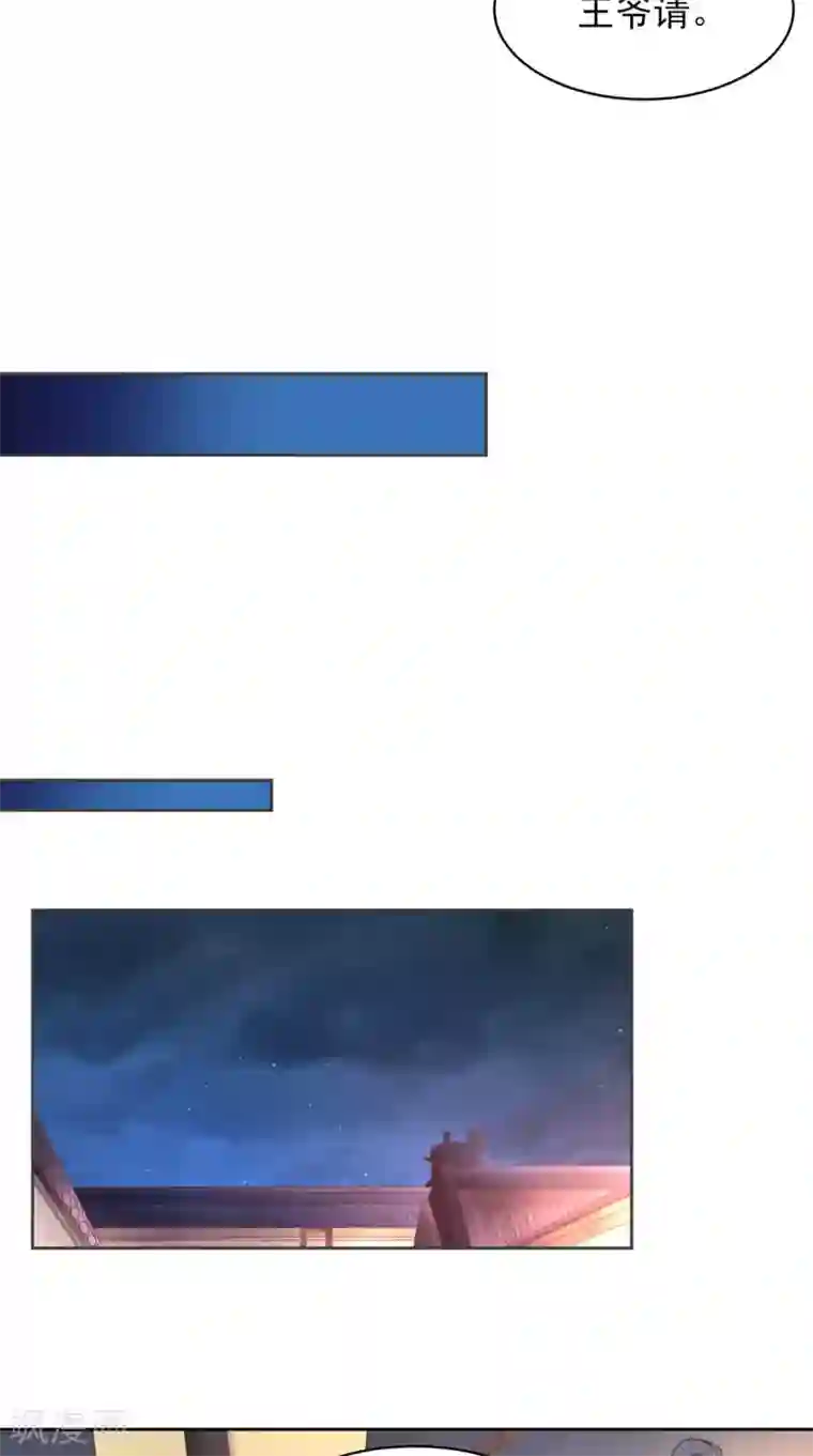 盛世女医：冷王宠妃第58话 被打断的谈话