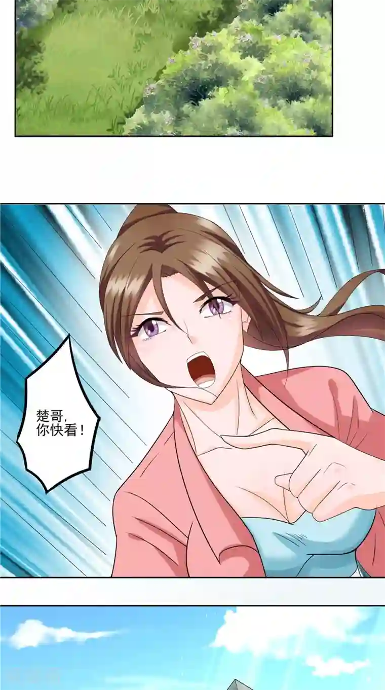 神盗特工第44话 卷入阴谋