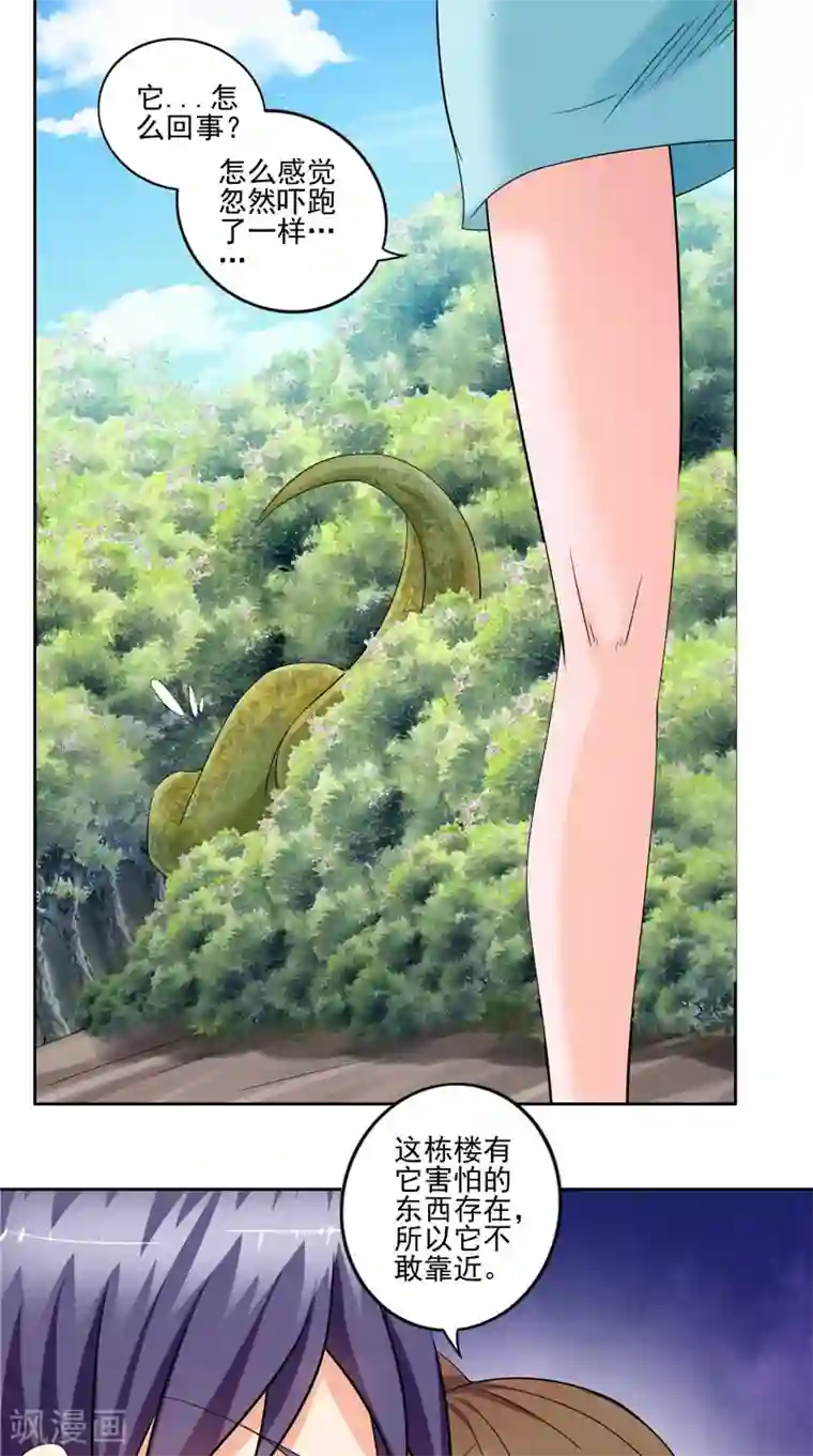 神盗特工第44话 卷入阴谋